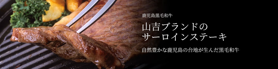 鹿児島黒牛 黒毛和牛 サーロインステーキ